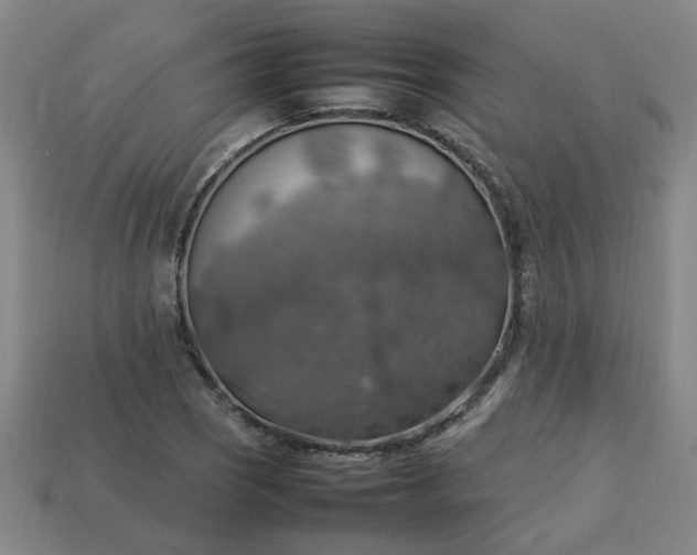 X0000113781121200910071218