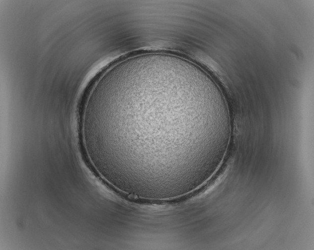 X0000113781122200910071218