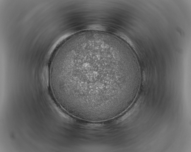 X0000113781123200910071218