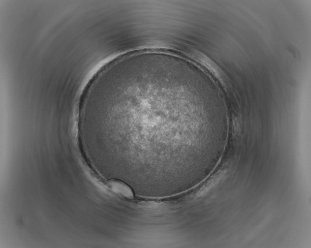 X0000113781124200910071218