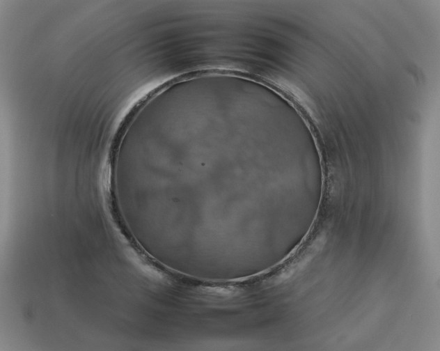 X0000113781125200910071218