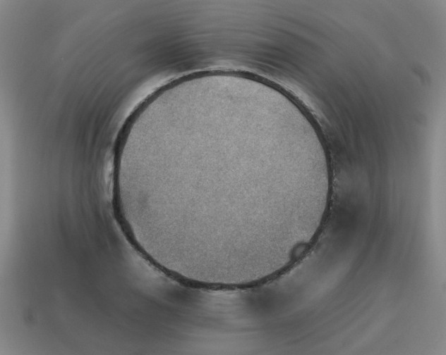 X0000113781126200910071218