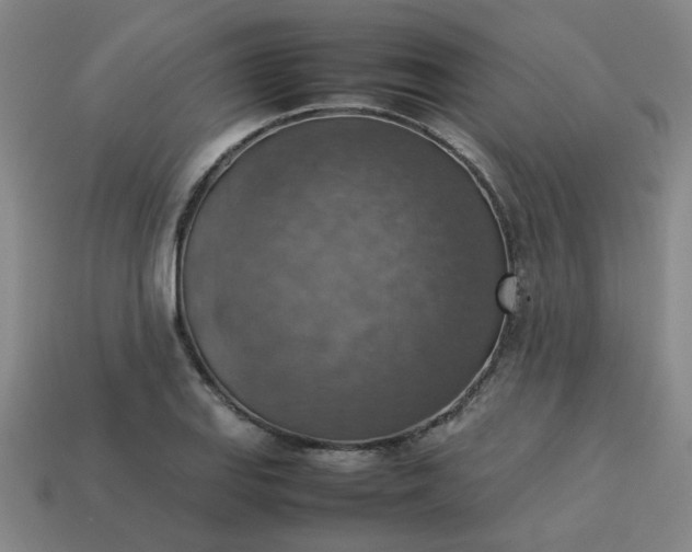 X0000113781127200910071218