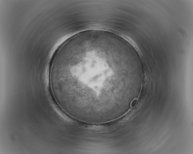 X0000113781128200910071218