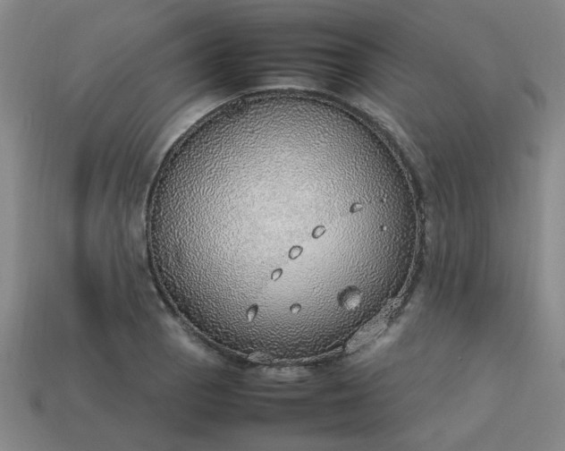 X0000113781129200910071218