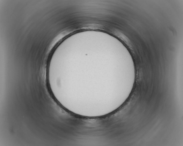 X0000113781130200910071218