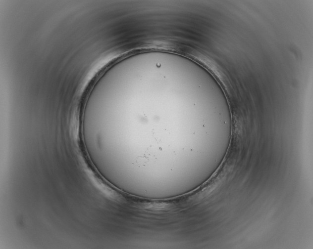 X0000113781131200910071218