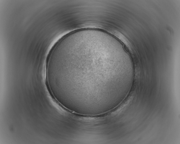 X0000113781132200910071218