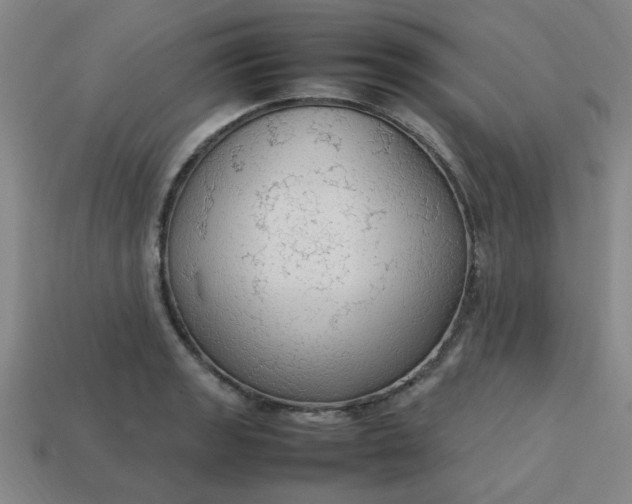 X0000113781133200910071218