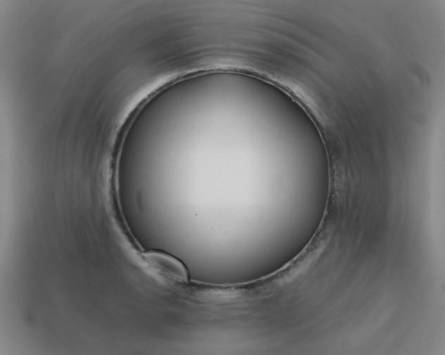 X0000113781134200910071218