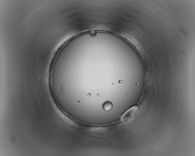 X0000113781135200910071218