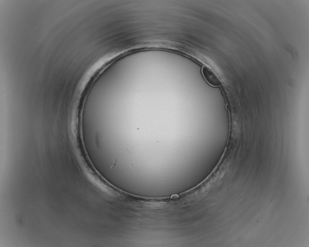 X0000113781136200910071218