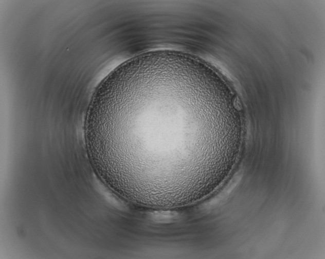 X0000113781137200910071218