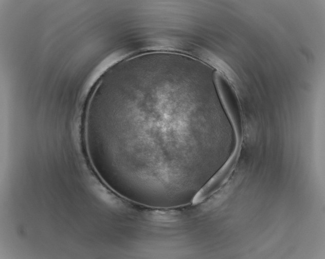 X0000113781138200910071218