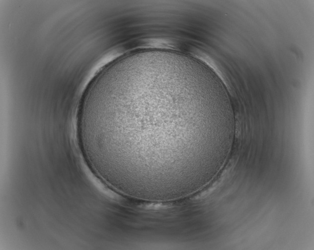 X0000113781139200910071218