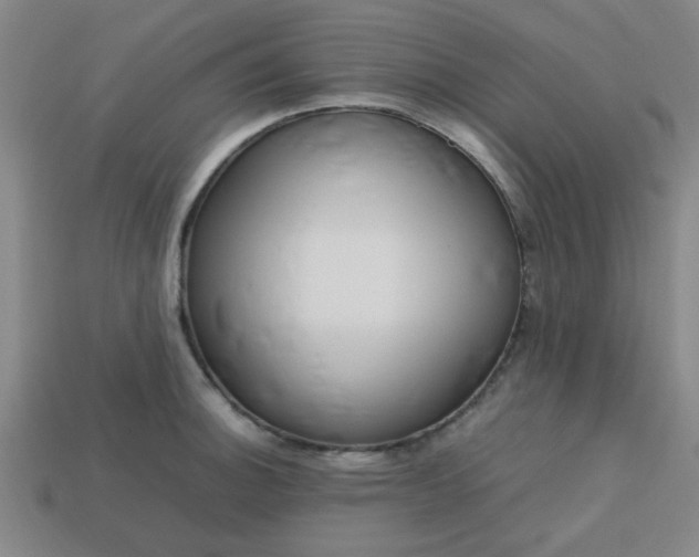 X0000113781140200910071218