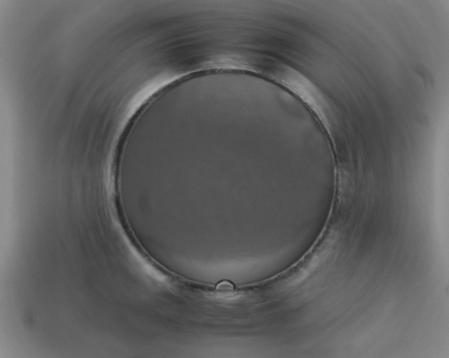 X0000113781141200910071218