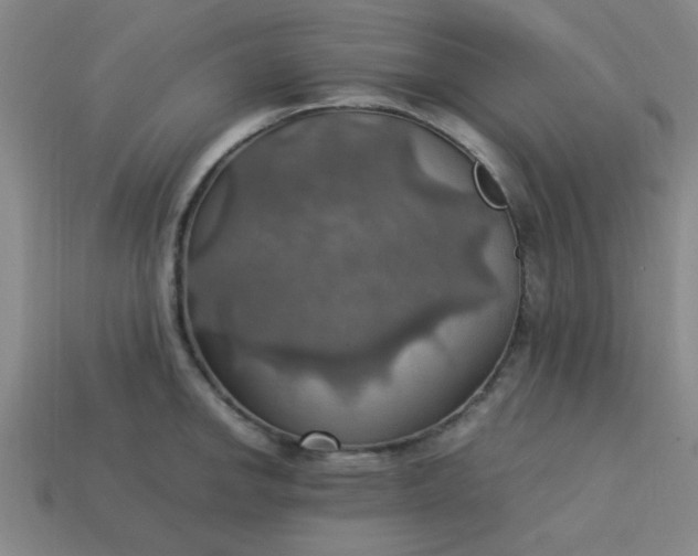 X0000113781142200910071218