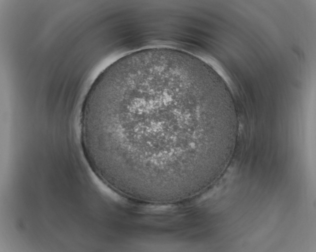 X0000113781143200910071218