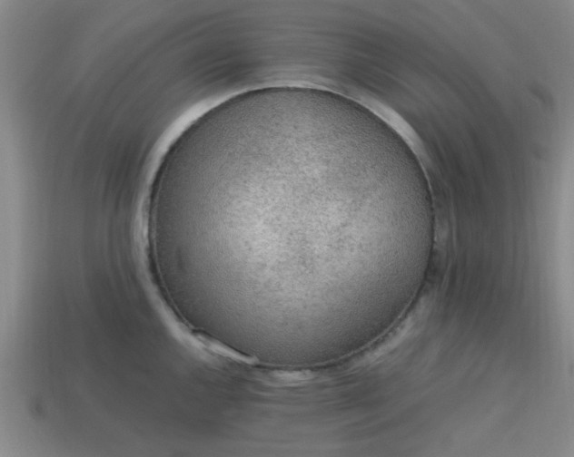 X0000113781144200910071218