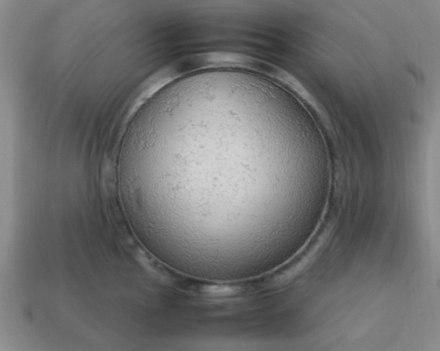 X0000113781145200910071218