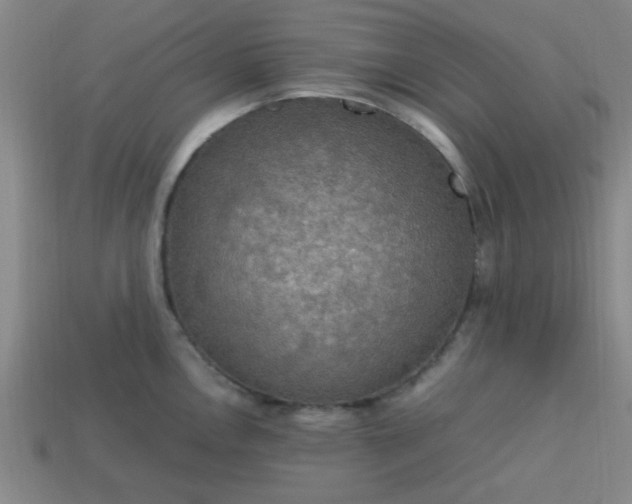 X0000113781146200910071218