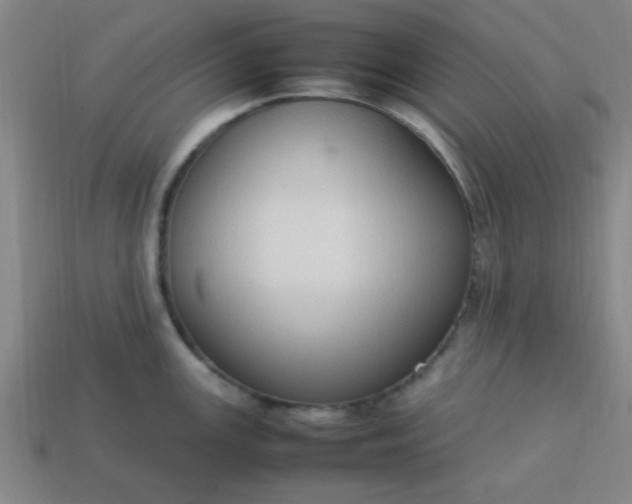 X0000113781147200910071218