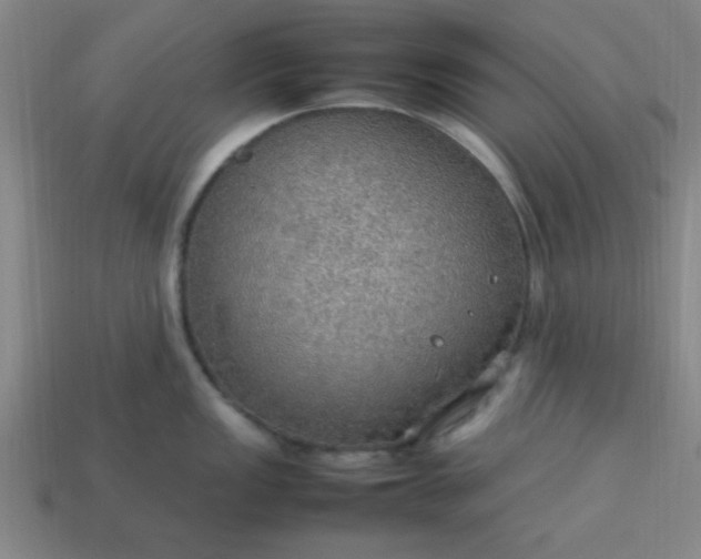 X0000113781149200910071218