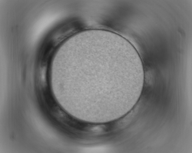 X0000113781150200910071218