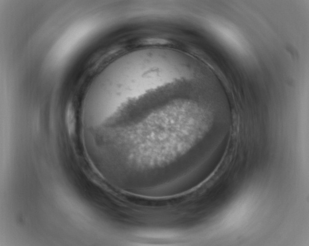 X0000113781151200910071218