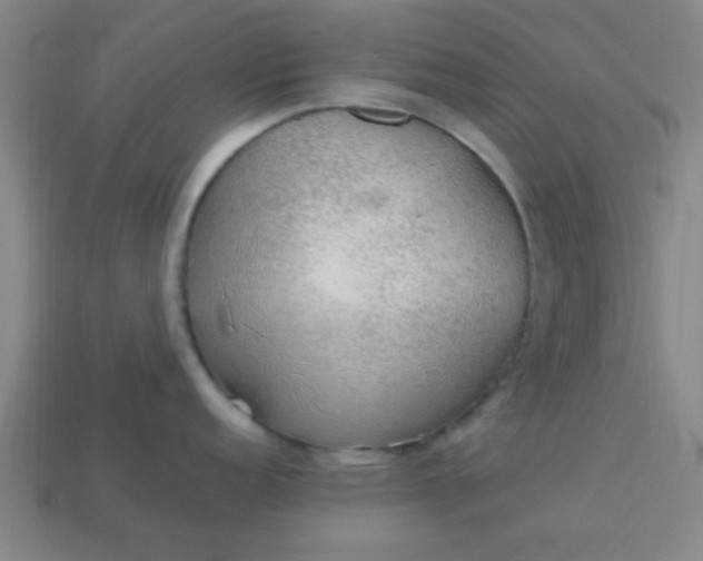 X0000113781152200910071218