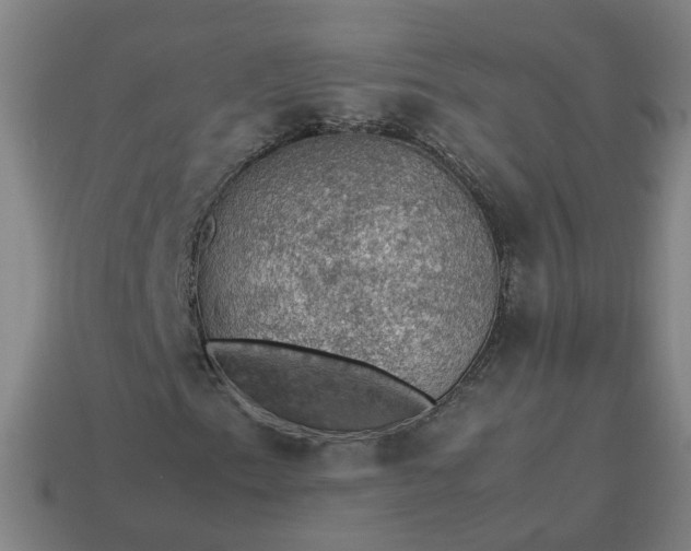 X0000113781153200910071218