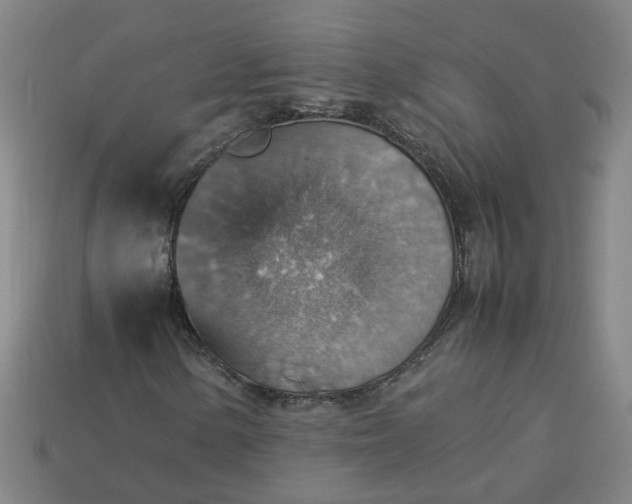 X0000113781154200910071218