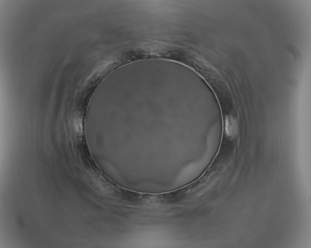 X0000113781155200910071218