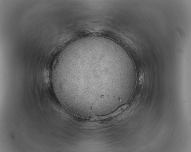 X0000113781156200910071218