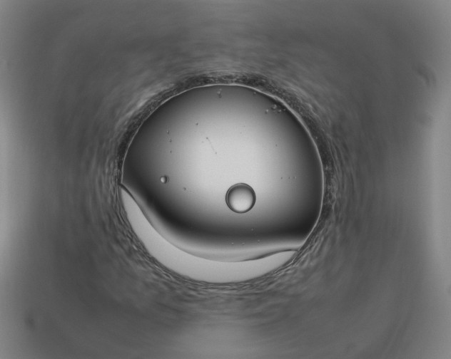 X0000113781157200910071218