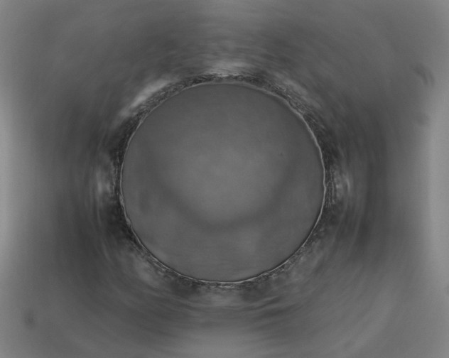 X0000113781158200910071218