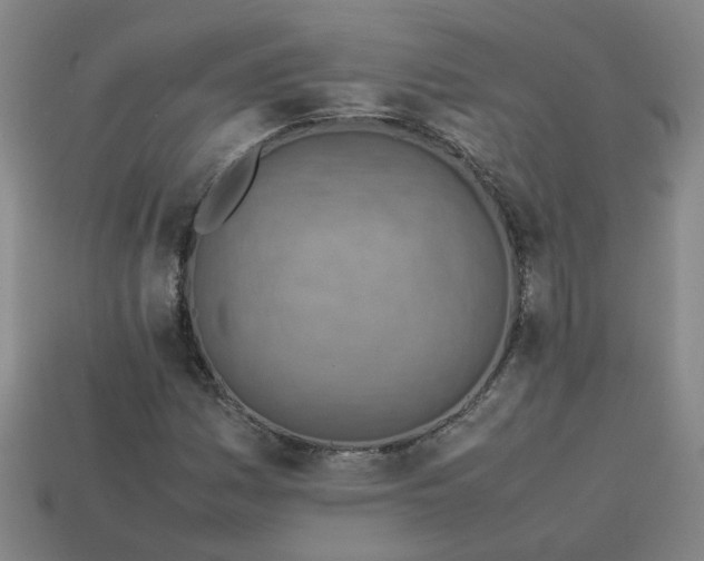 X0000113781161200910071218