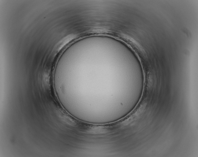 X0000113781162200910071218