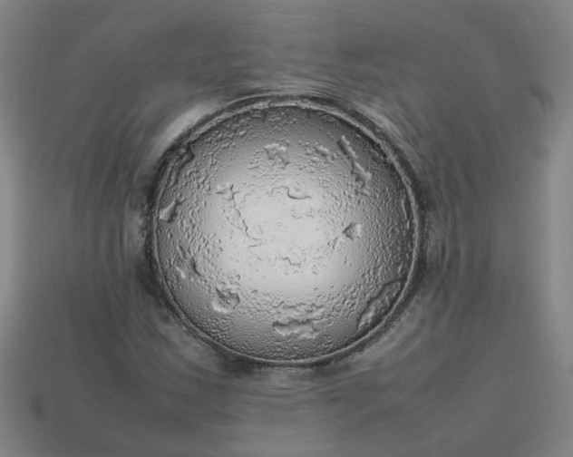 X0000113781163200910071218