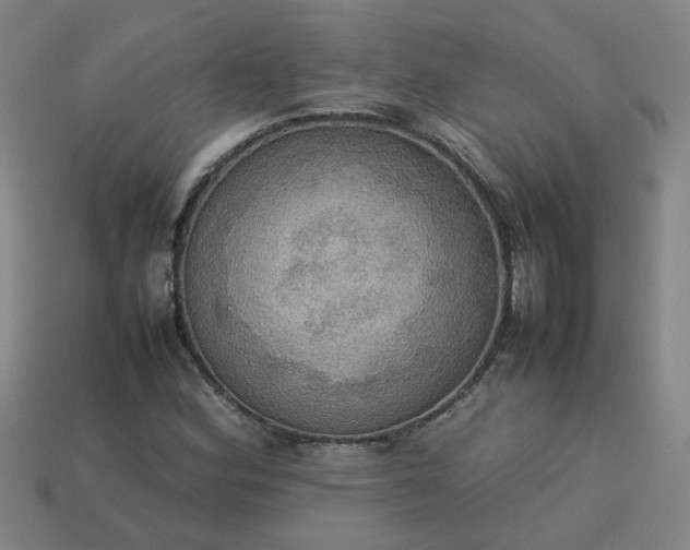 X0000113781164200910071218