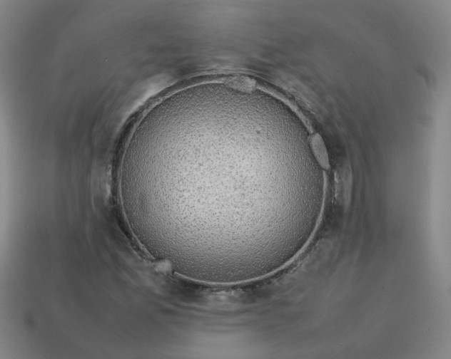 X0000113781165200910071218