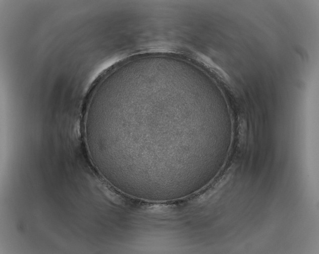 X0000113781166200910071218