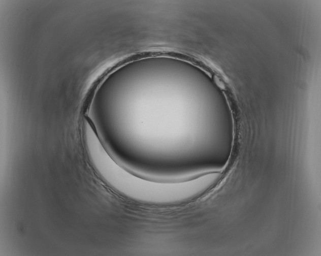 X0000113781167200910071218