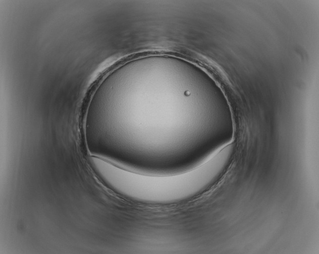 X0000113781168200910071218