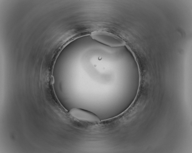 X0000113781169200910071218