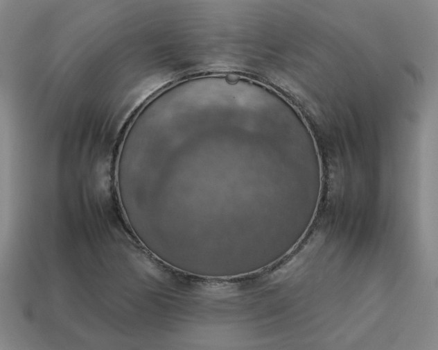 X0000113781170200910071218