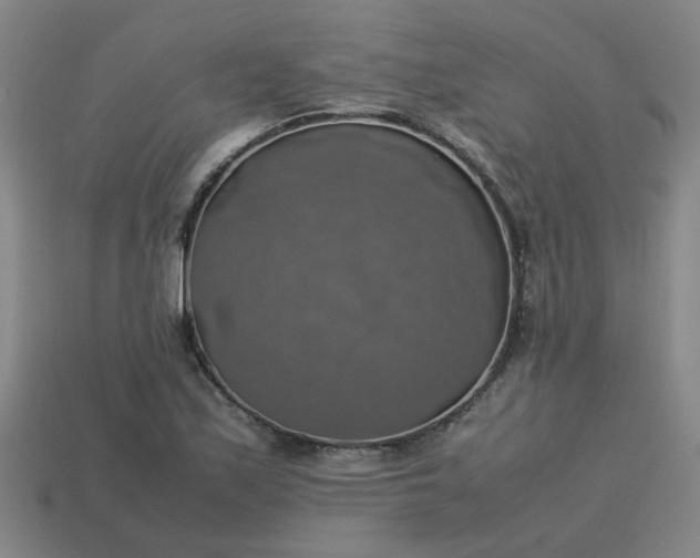 X0000113781171200910071218