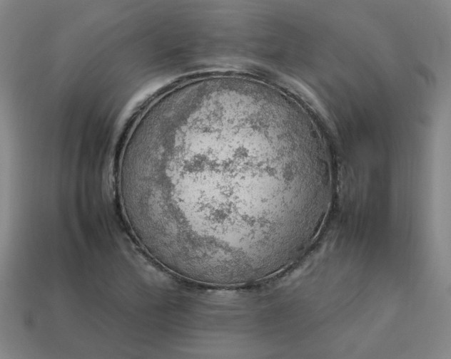 X0000113781172200910071218