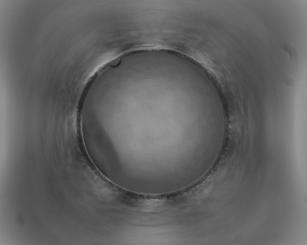 X0000113781173200910071218